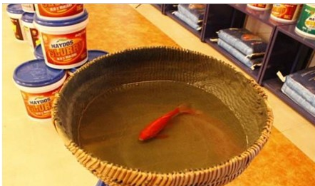 ͿʿֳƷˮܘO(qing)Ϳ