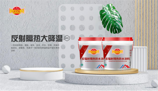 碧家索防水:產(chǎn)品服務(wù)并駕齊驅(qū) 共創(chuàng)美好宅居生活